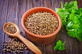 Coriander Powder